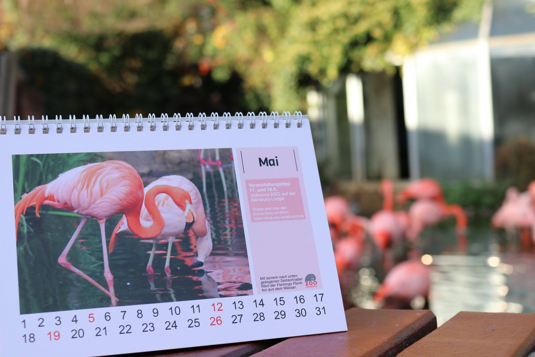 Der Kalender 2019 vom Zoo Osnabrück