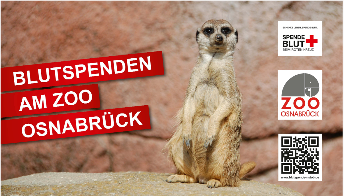 Blutspende am 30.8.