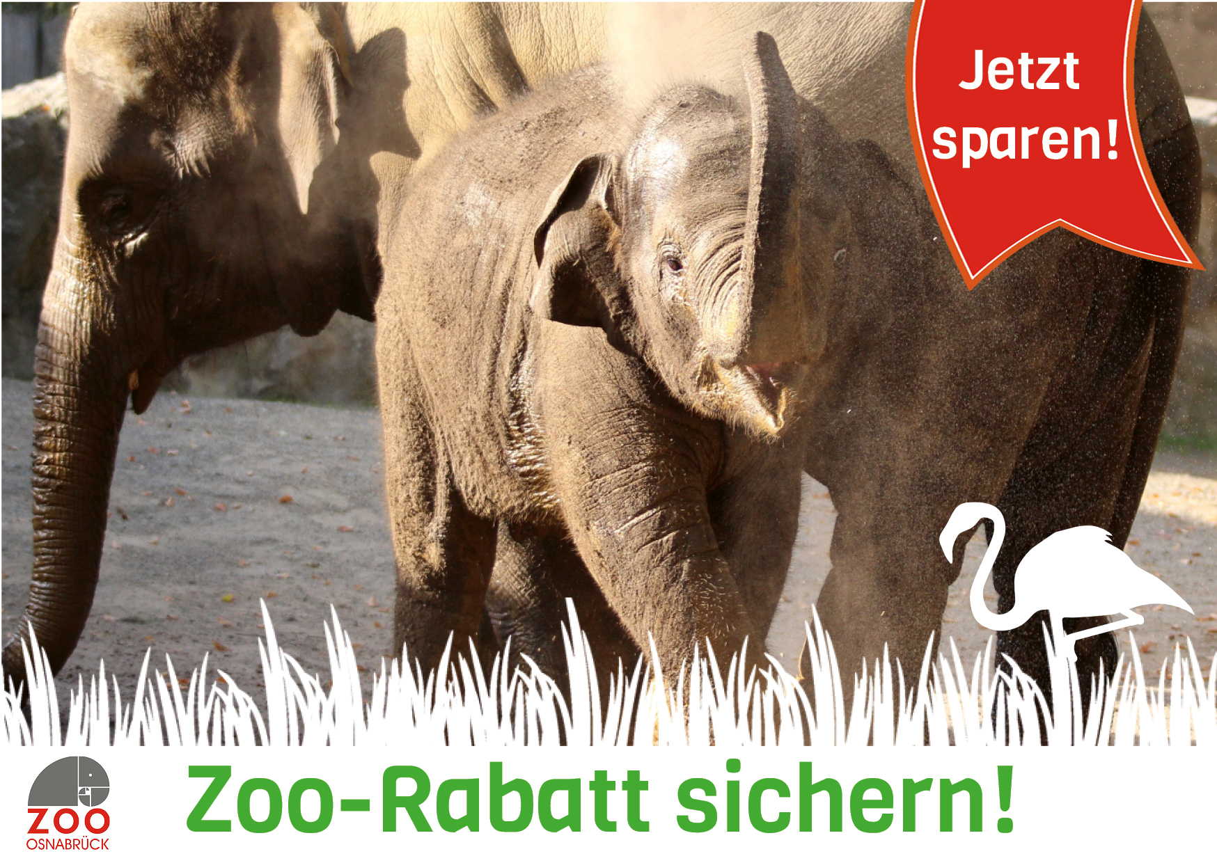 Grüner Zoo