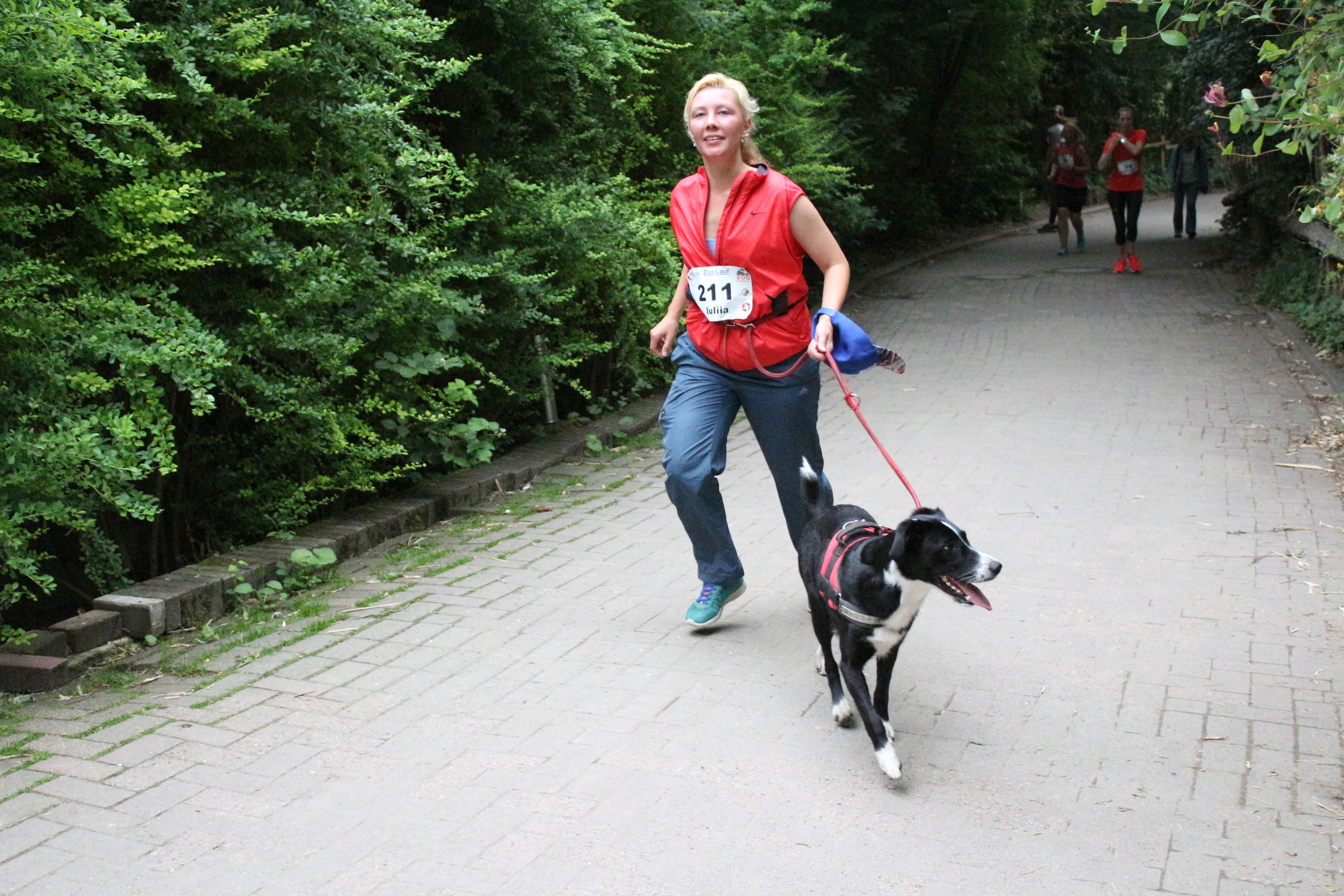 Zoo-Lauf für Groß und Klein