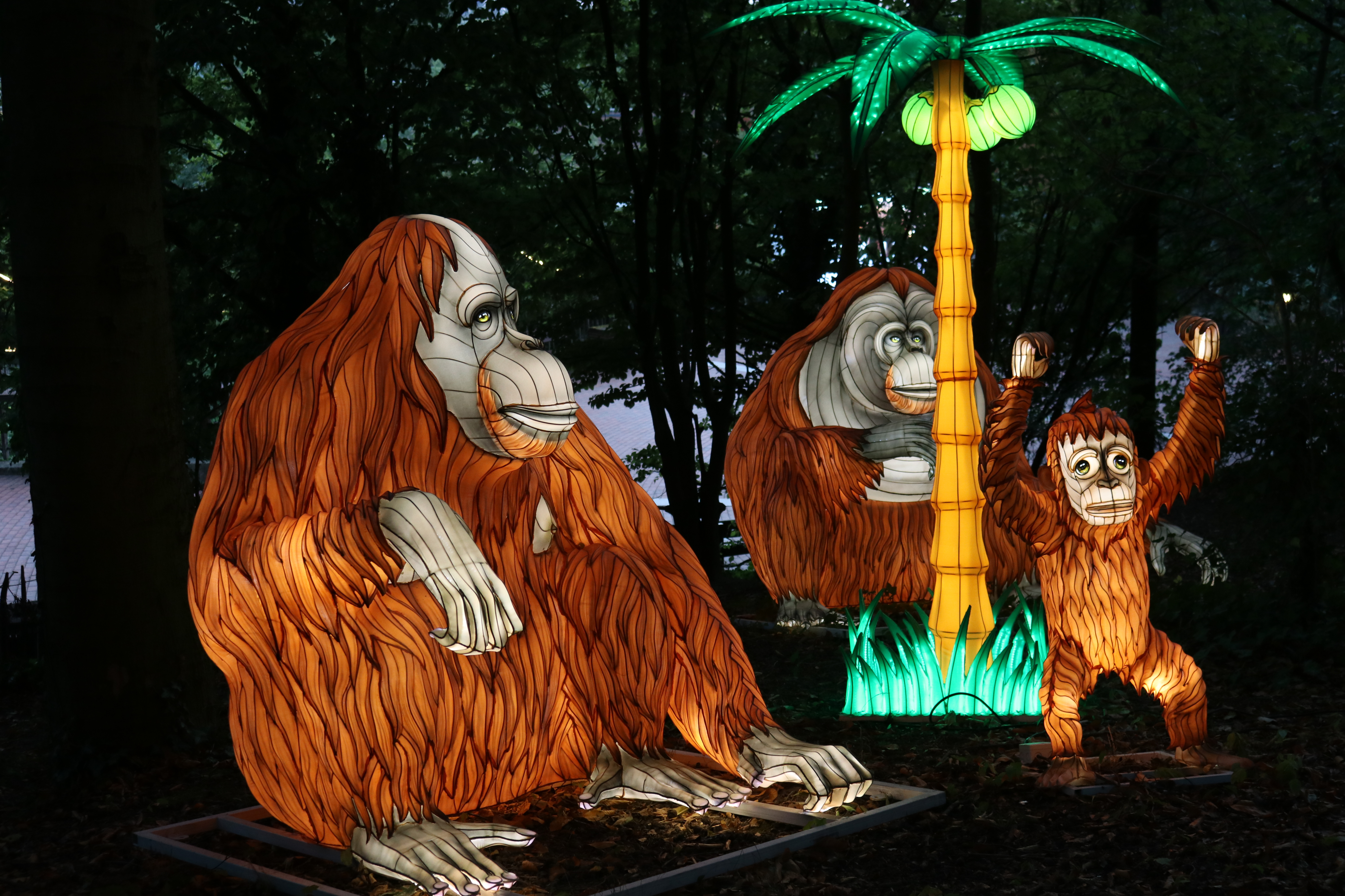 Zoo-Lights