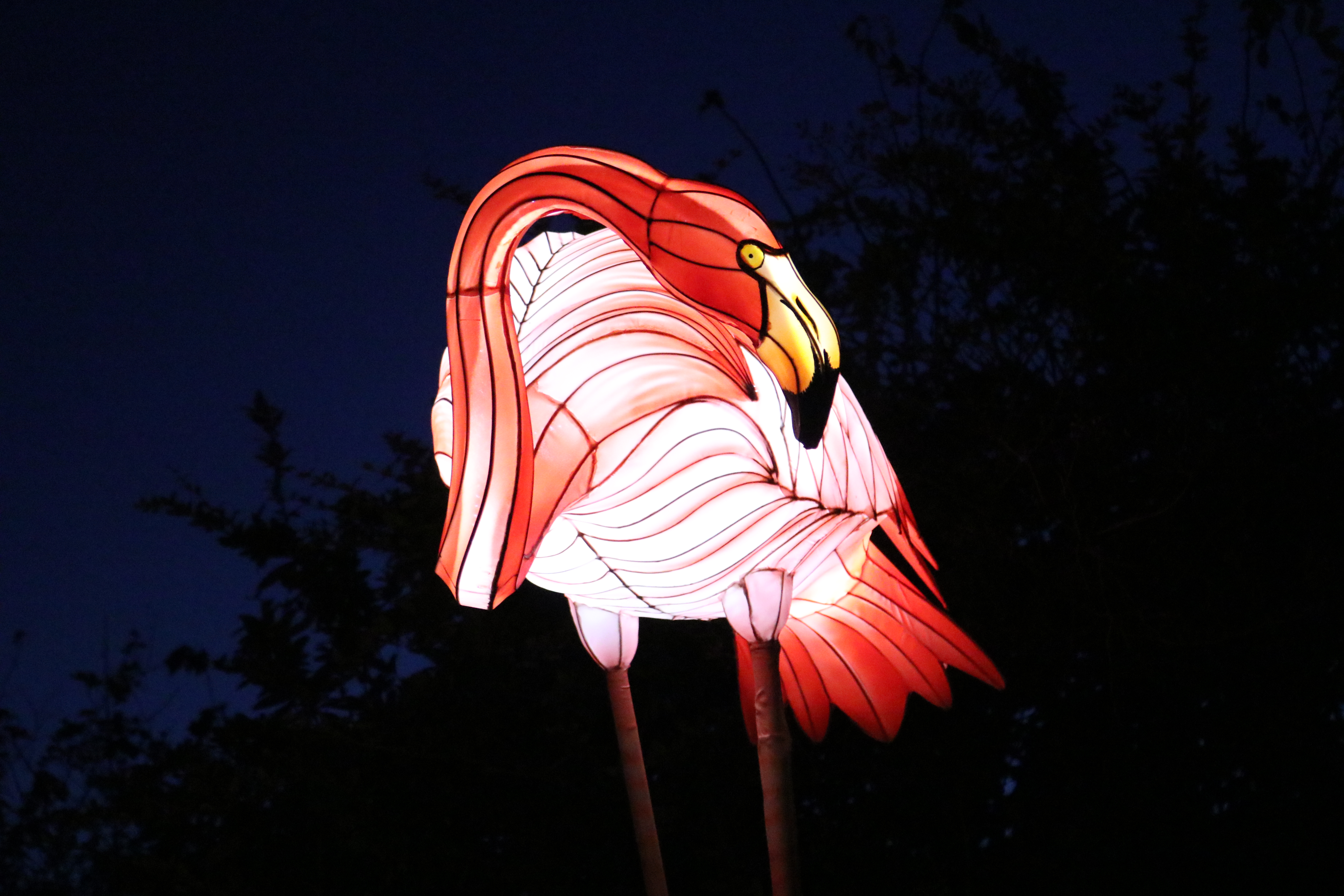 Zoo-Lights
