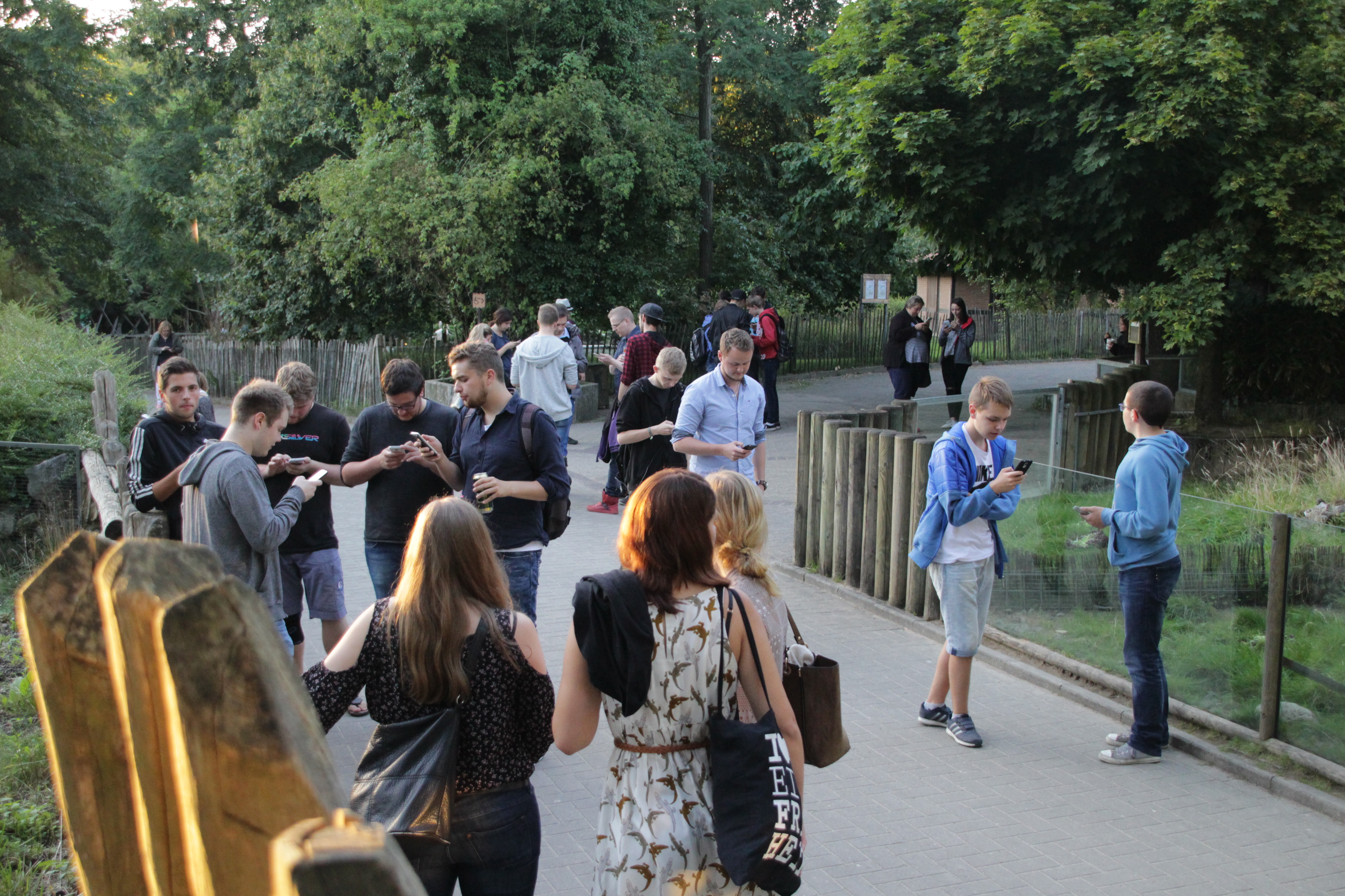 Pokémon Go im Zoo Osnabrück