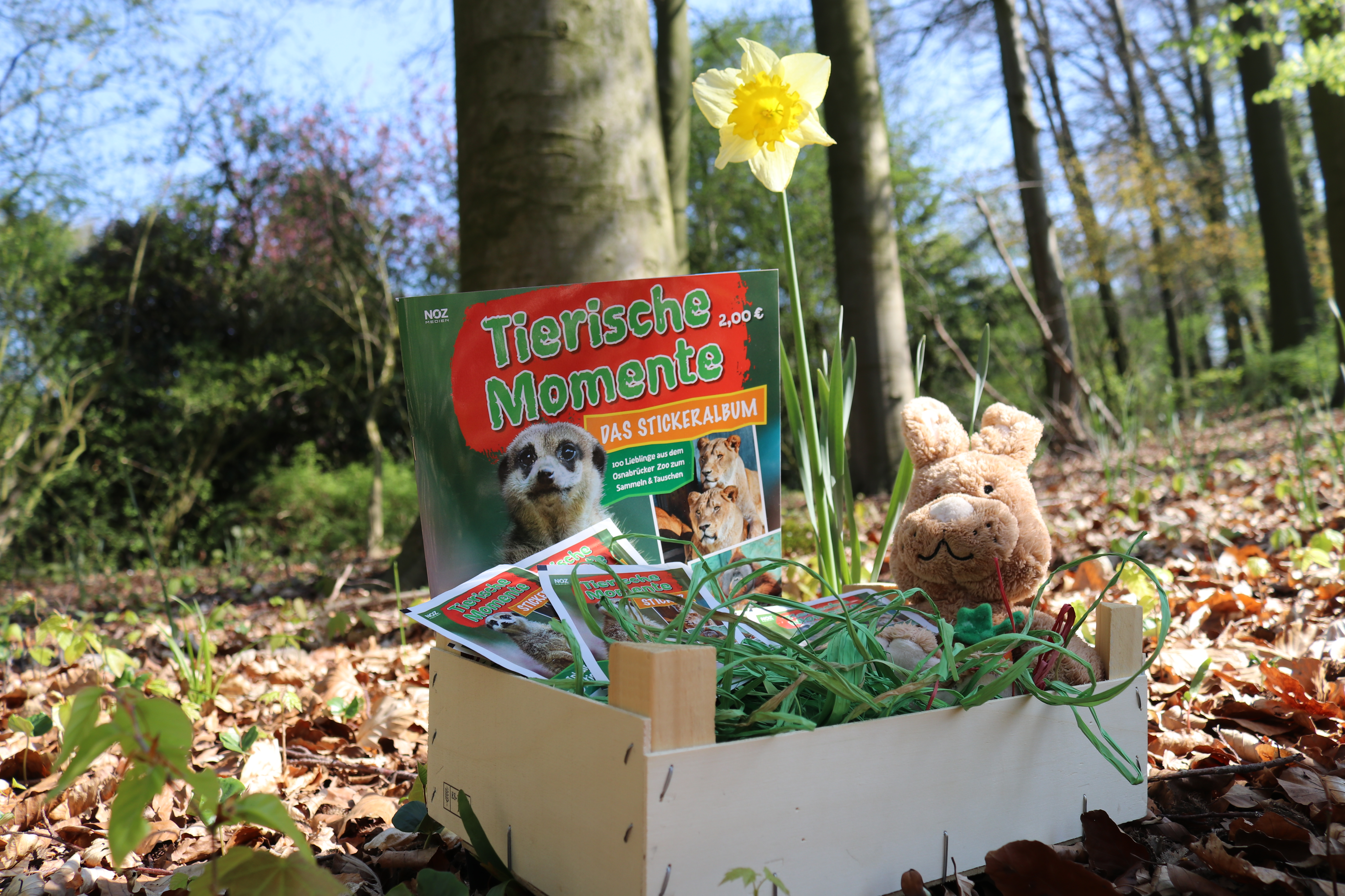 Ostern: Zoogeschenke statt Schokohasen