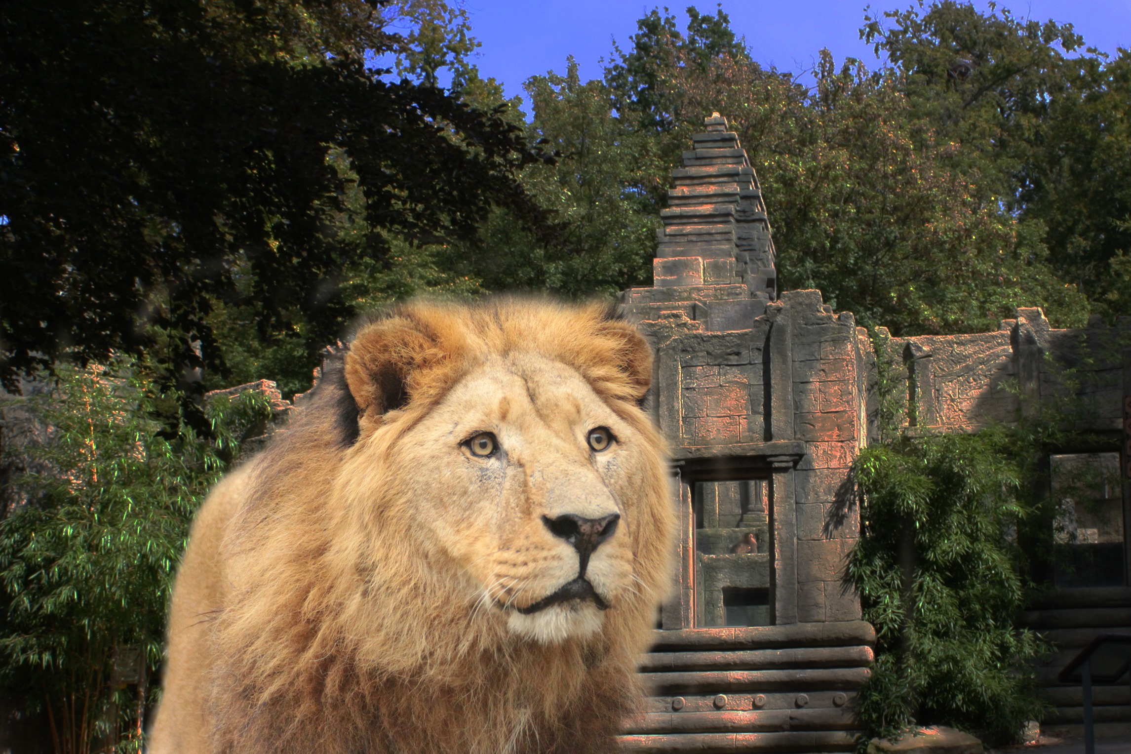 Open Air-Kino im Zoo