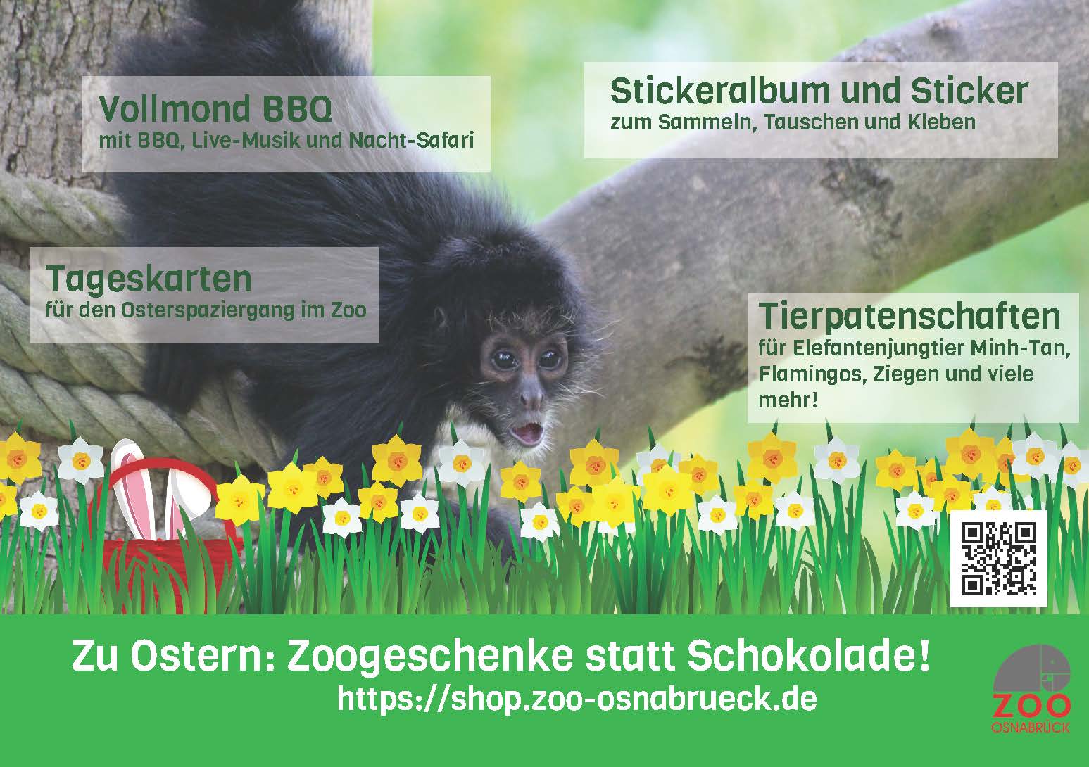 Ostern: Zoogeschenke statt Schokohasen