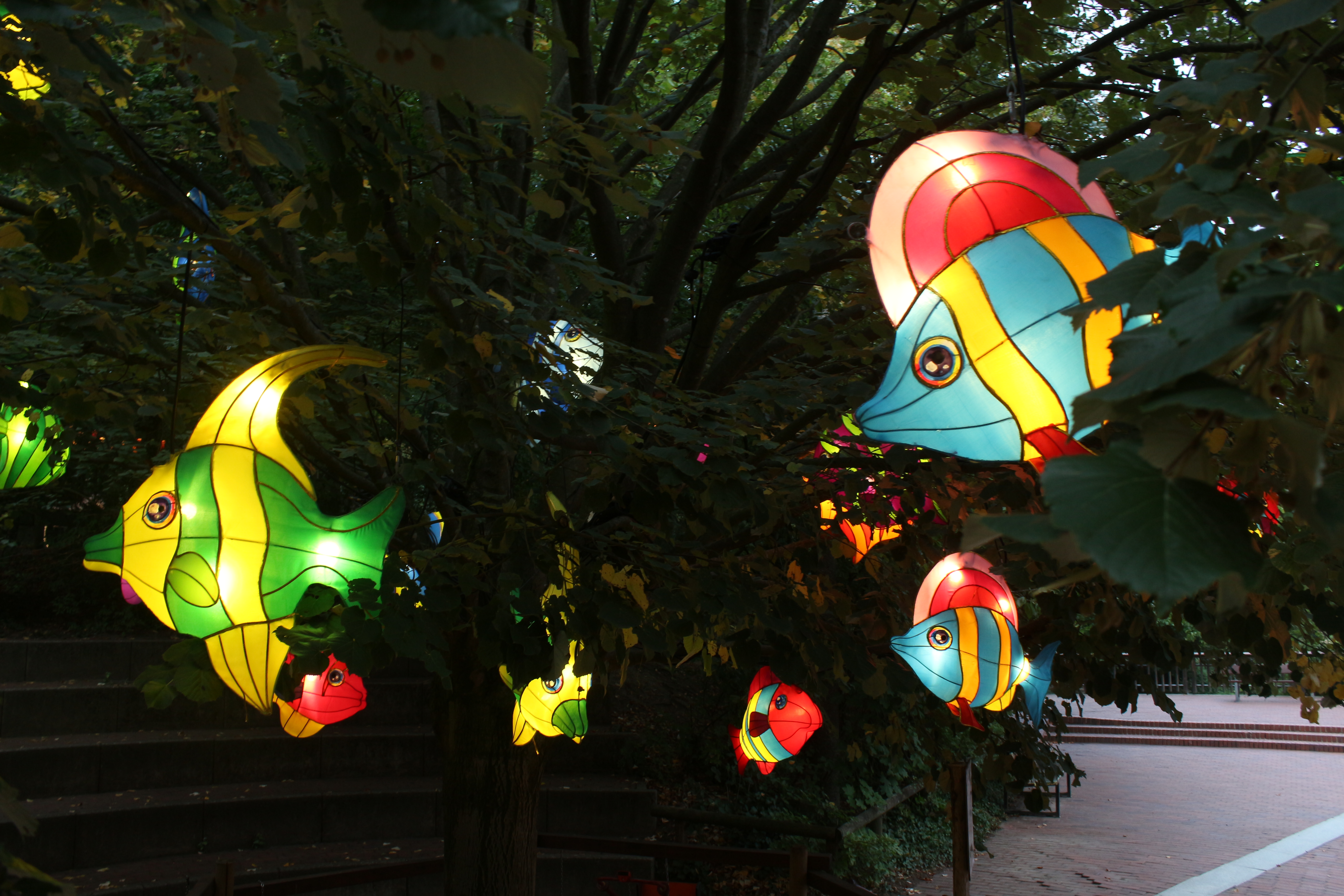 Tiefseefische bei den Zoo-Lights