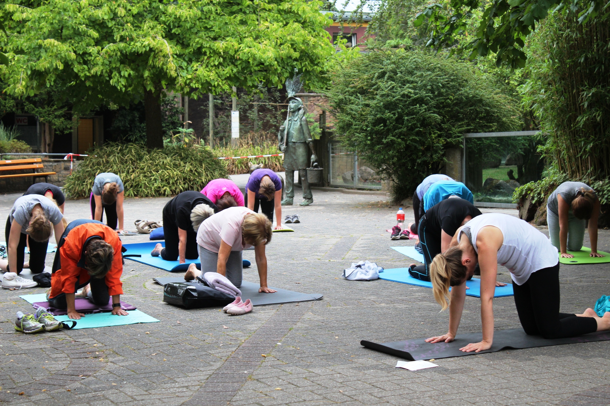 Yoga im Zoo