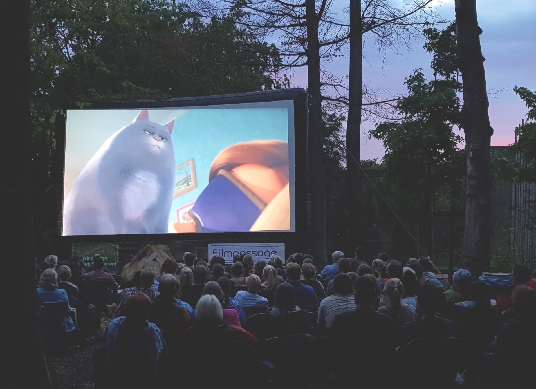 Open Air Kino