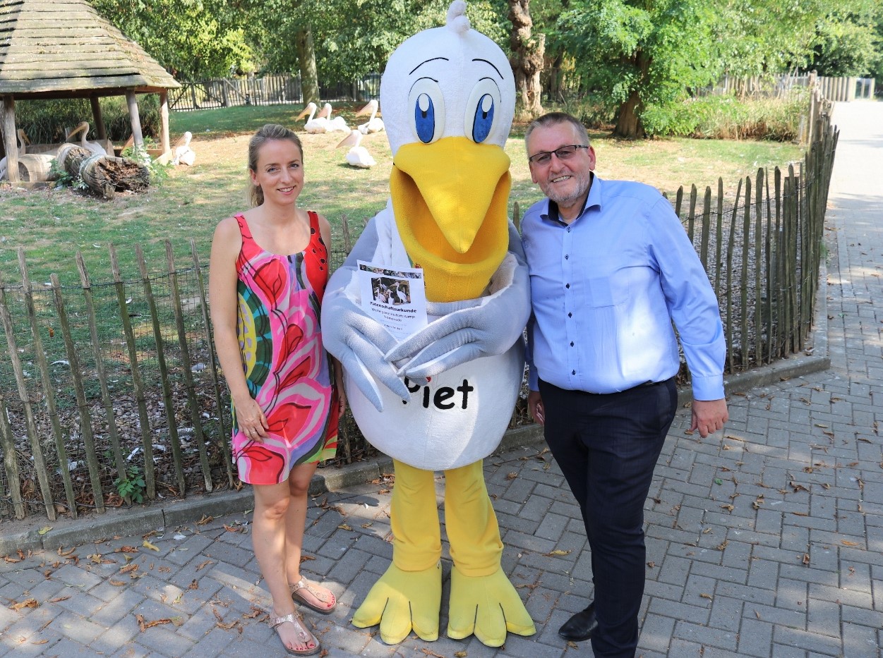 Pelikan "Piet" im Zoo Osnabrück