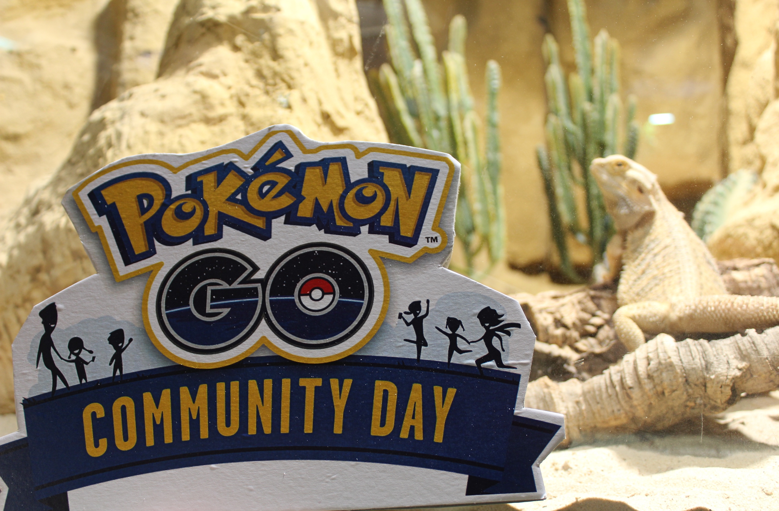 Pokémon GO Community Day