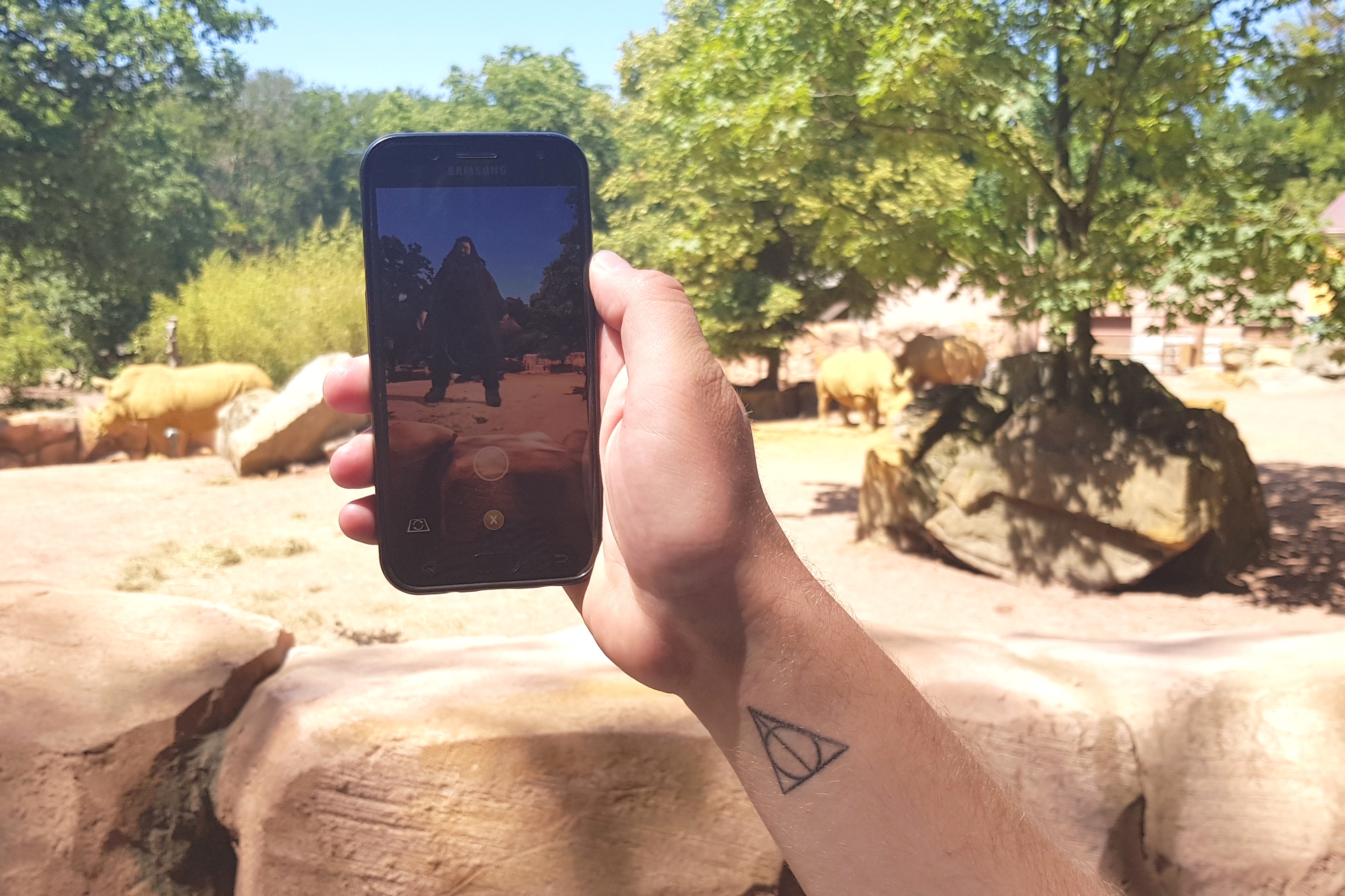 Wizards Unite im Zoo