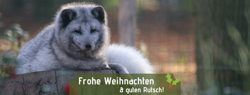 Frohe Weihnachten 