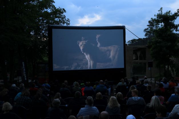 Open-Air-Kino