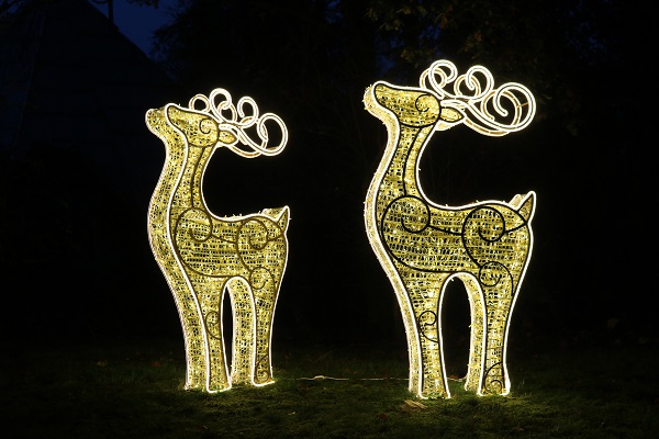 Zoo-Lights