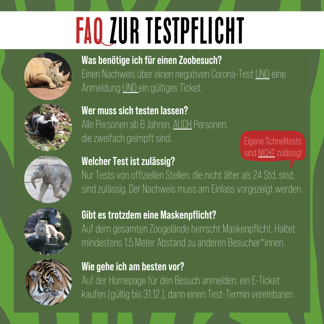Übersicht Testpflicht