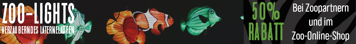 Zoo-Lights