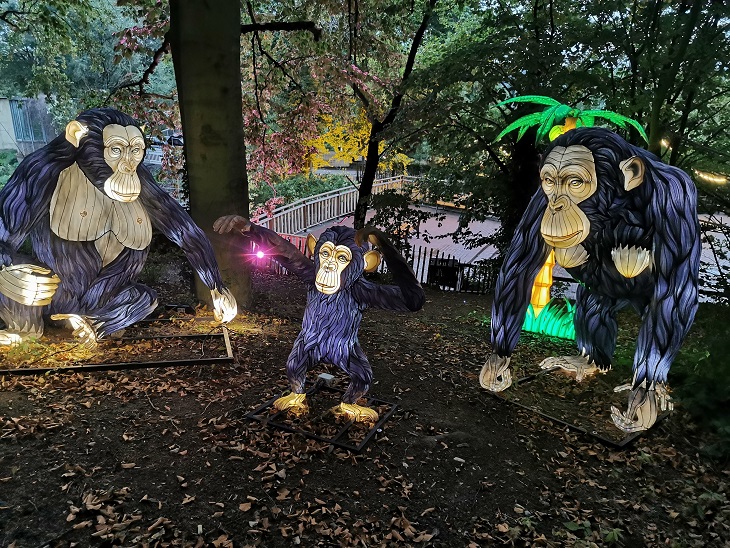 Frühlingsleuchten