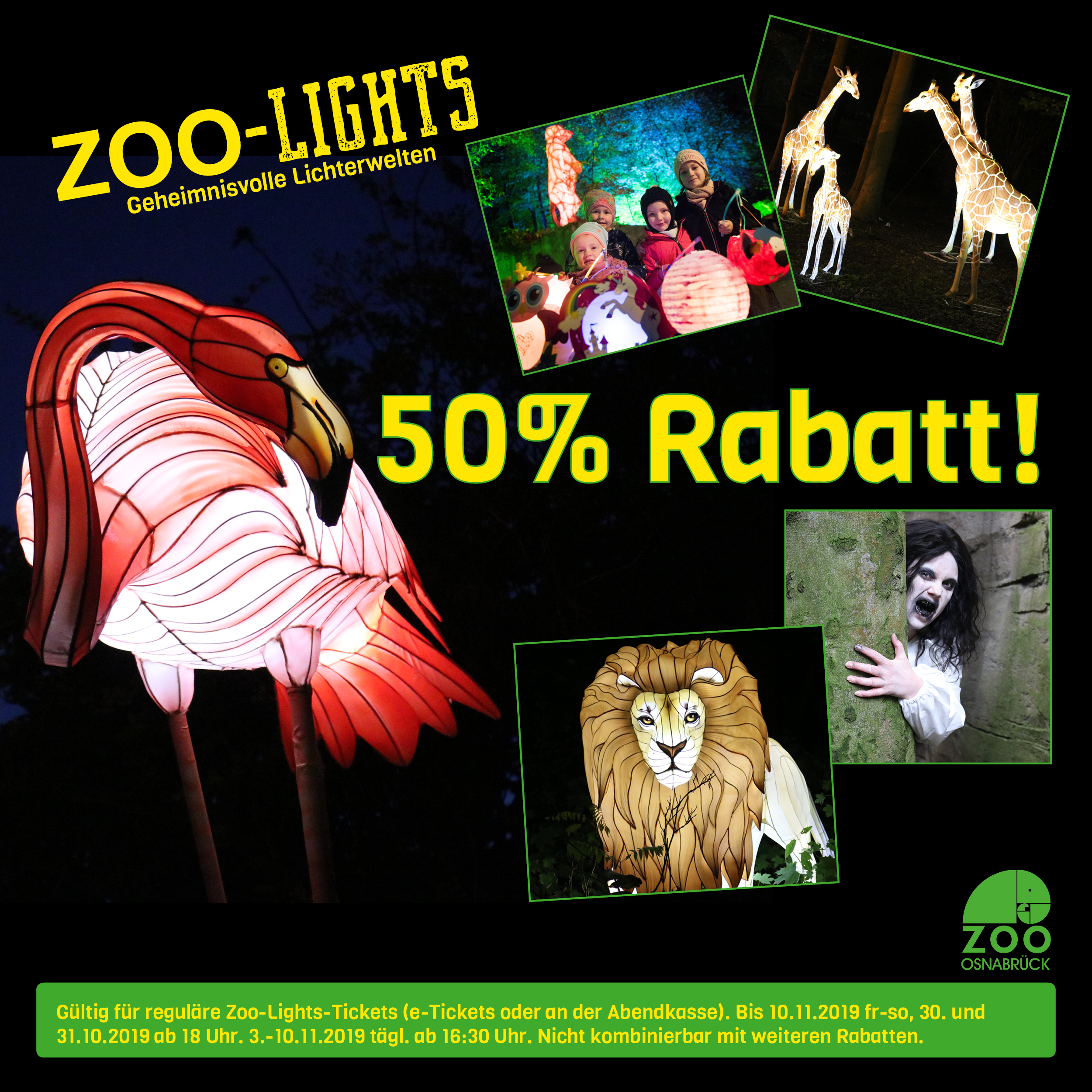 Zoo-Lights