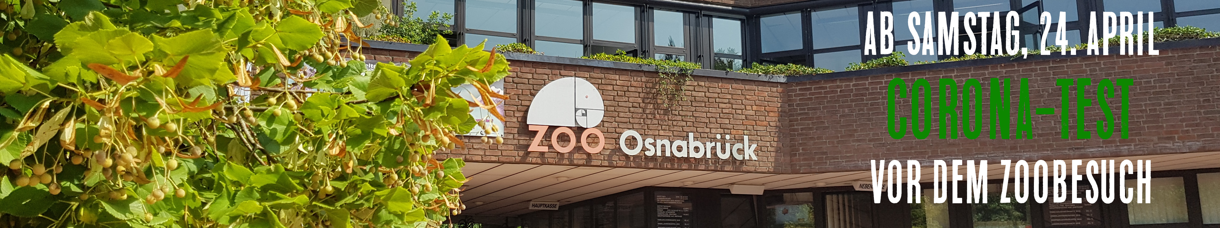 Testplficht ab Samstag