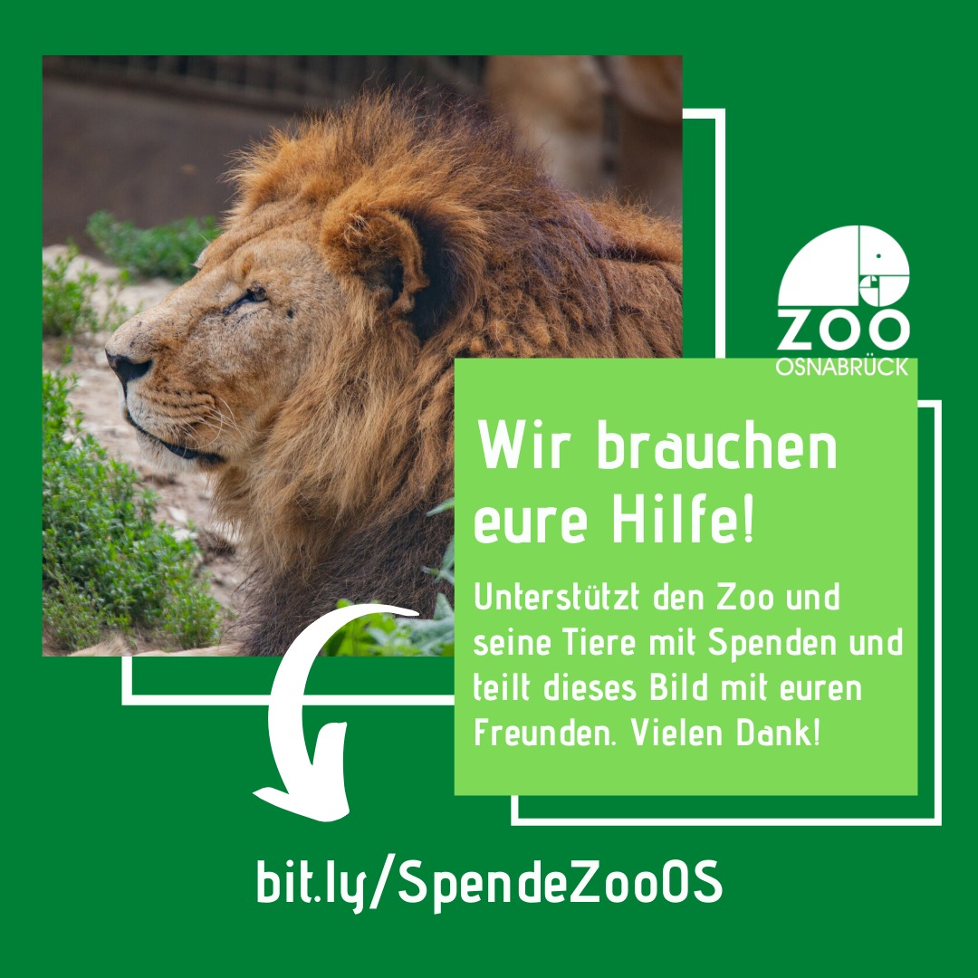 Spendenaufruf