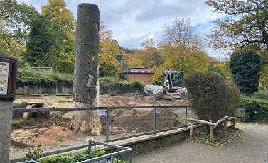Stachelschweinanlage