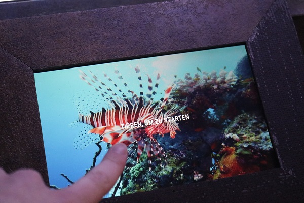 Tablet Tetra-Aquarium