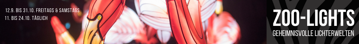Banner Zoo-Lights