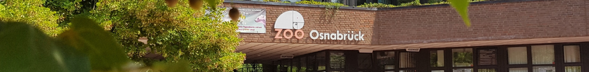 Zooeingang
