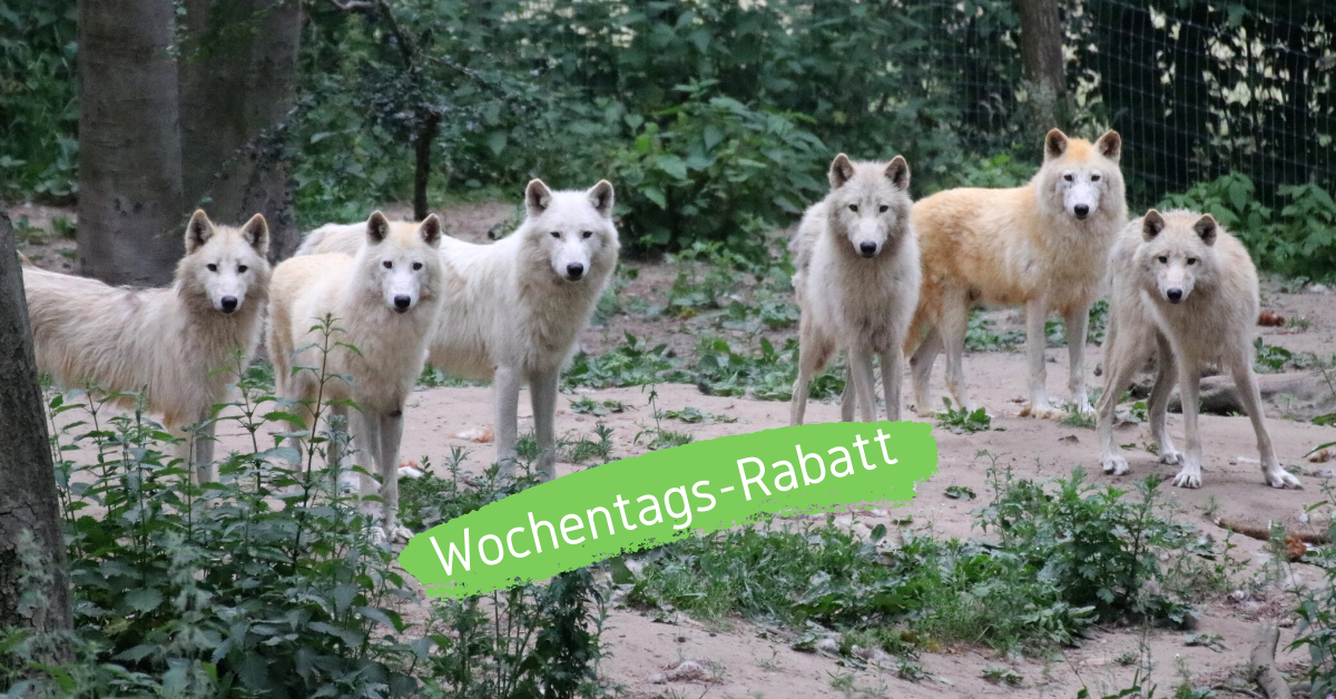 Wochentagsrabatt