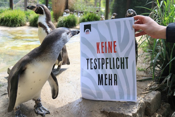 Keine Testpflicht