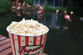 Open-Air-Kino
