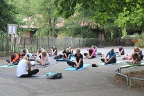 Yoga im Zoo