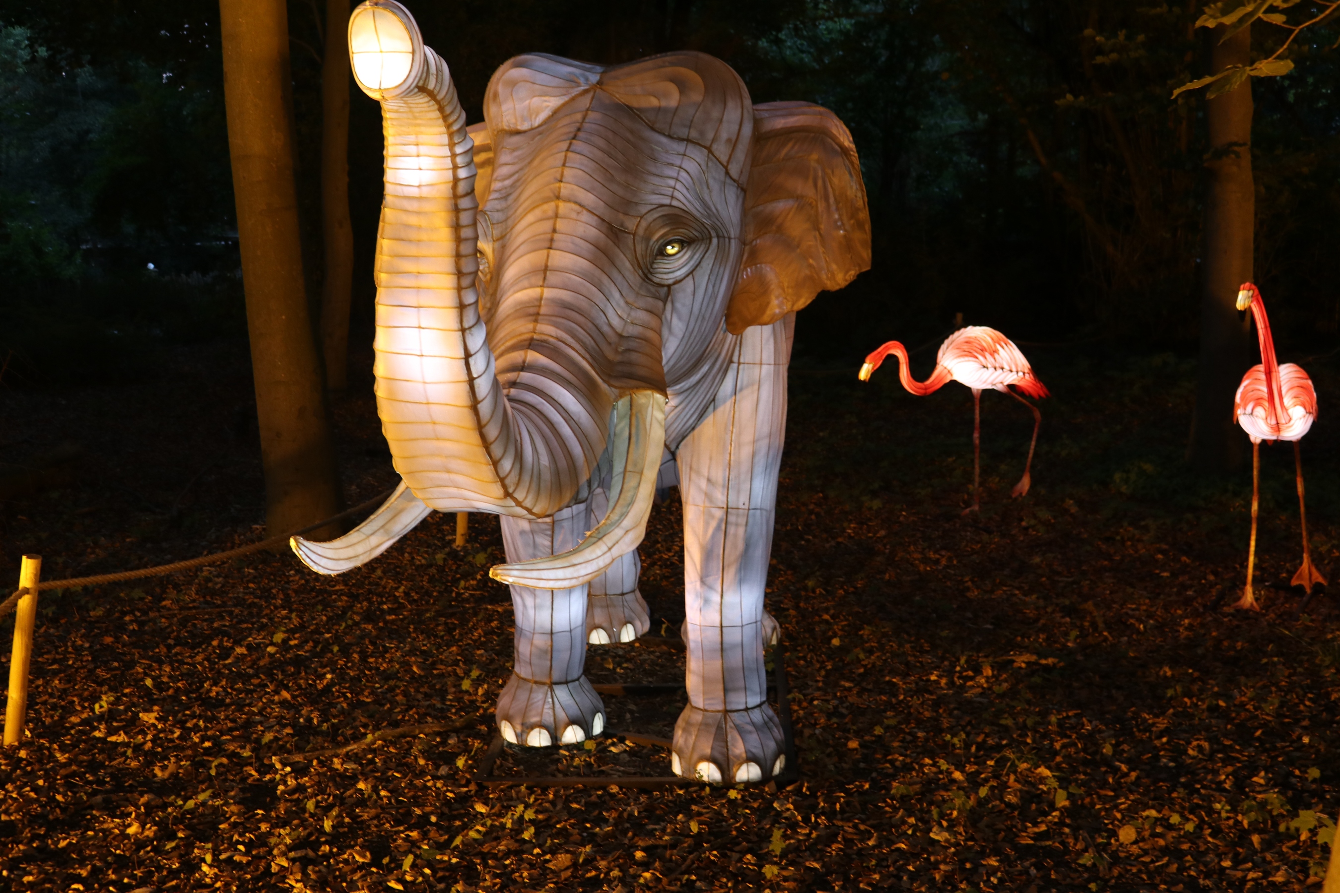 Zoo-Lights
