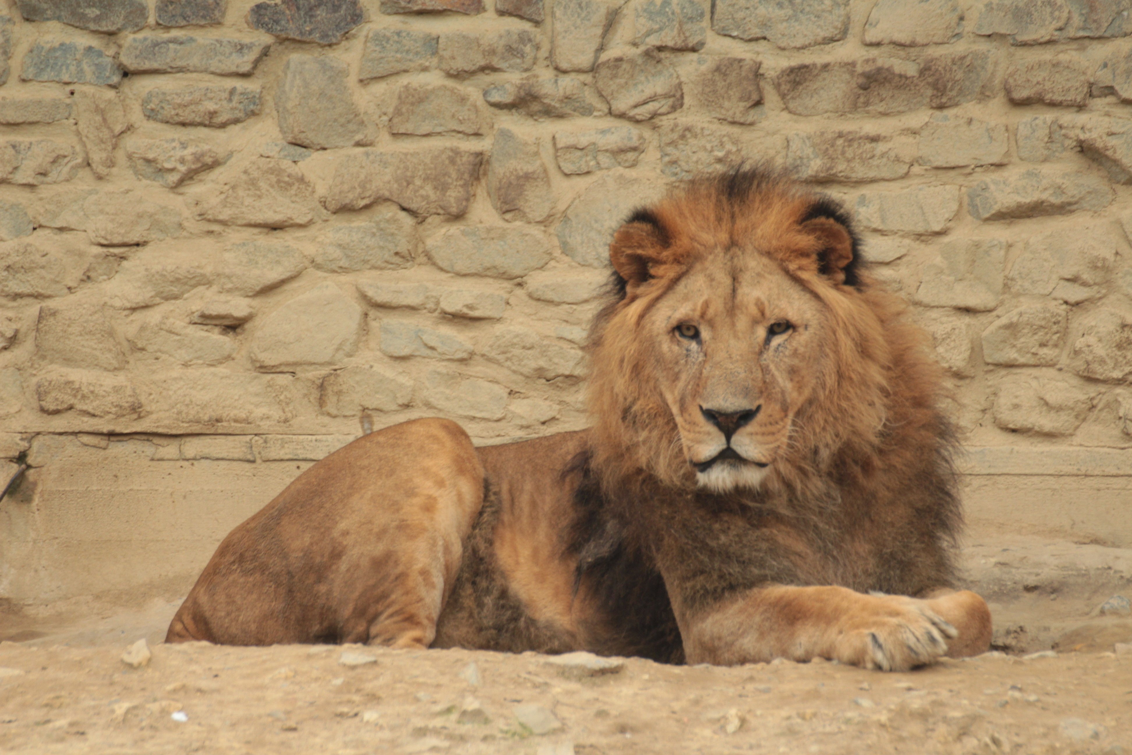 Nakuru