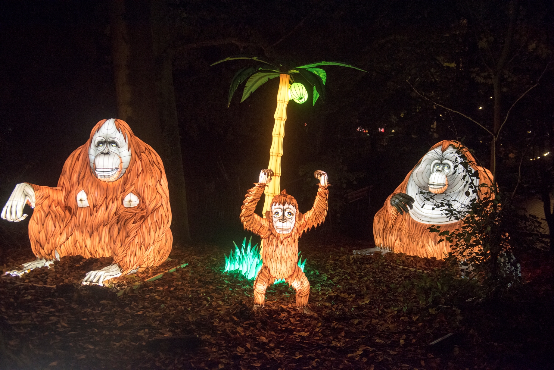 Zoo-Lights