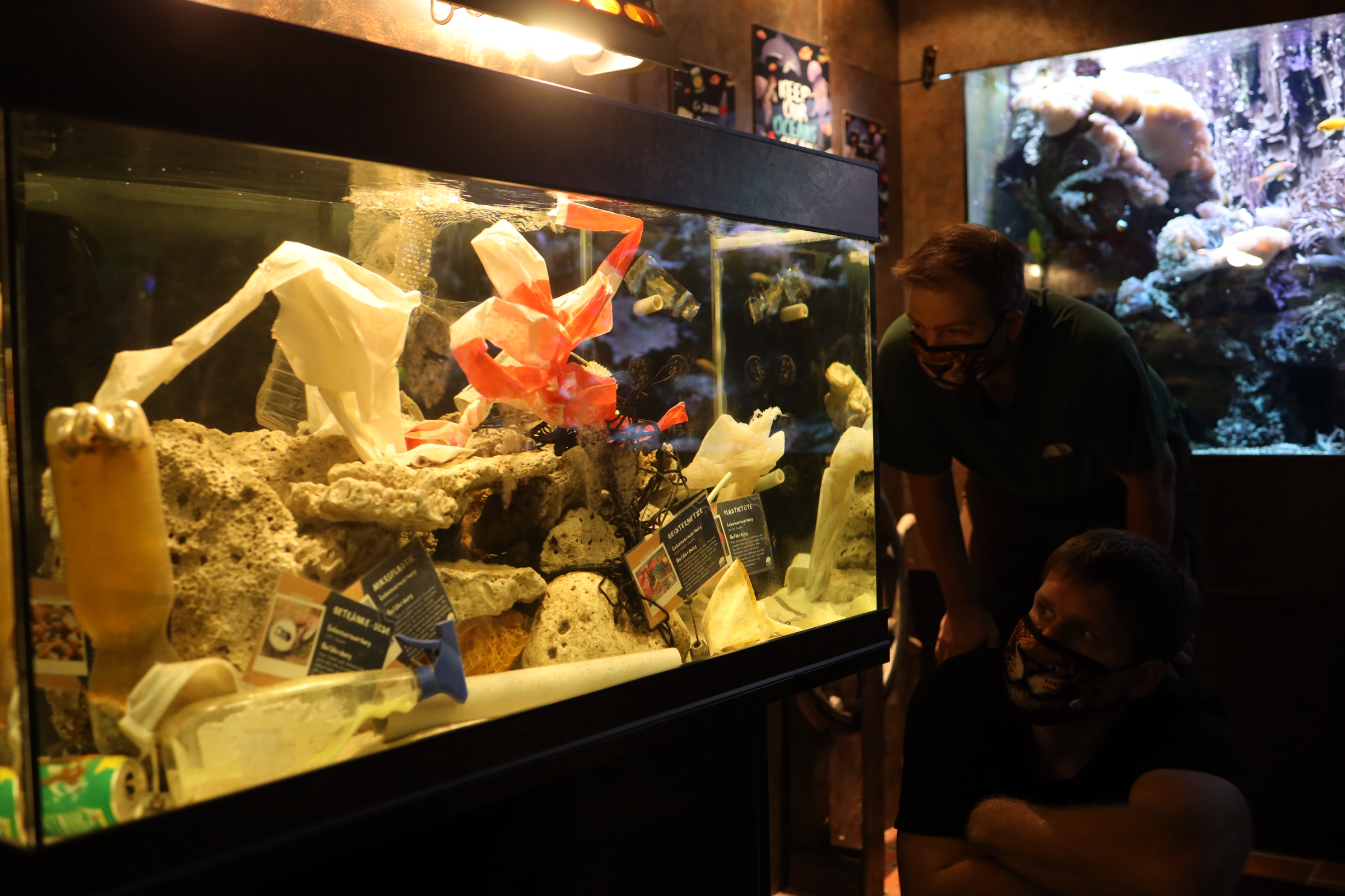 Müll im Tetra-Aquarium
