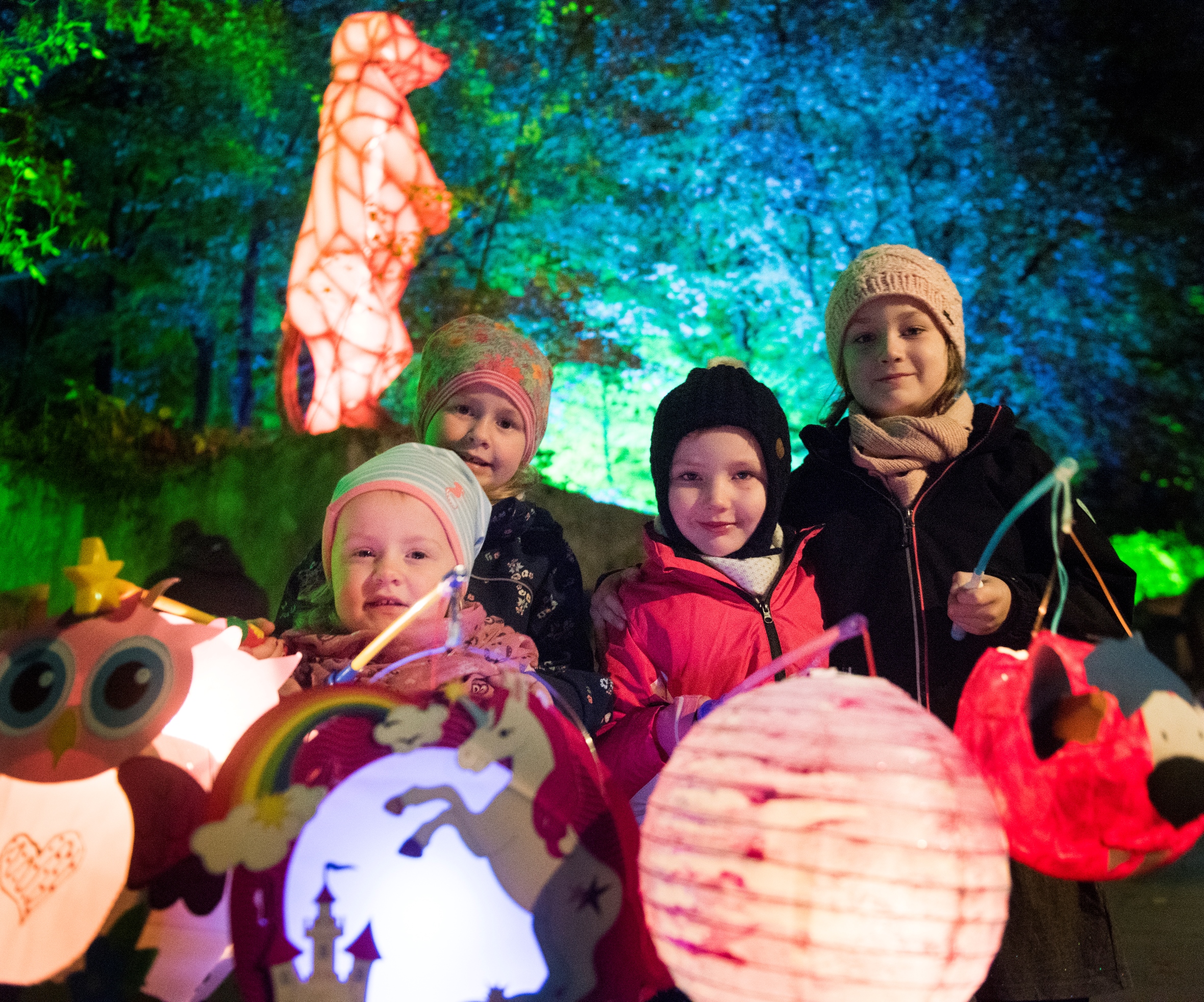 Zoo-Lights Verzauberndes Laternegehen