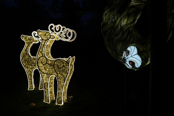 "Zoo-Lights"